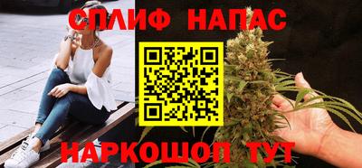 шишки Тара