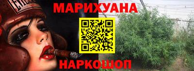 шишки Тара