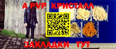шишки Тара