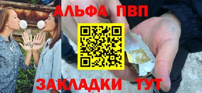 шишки Тара
