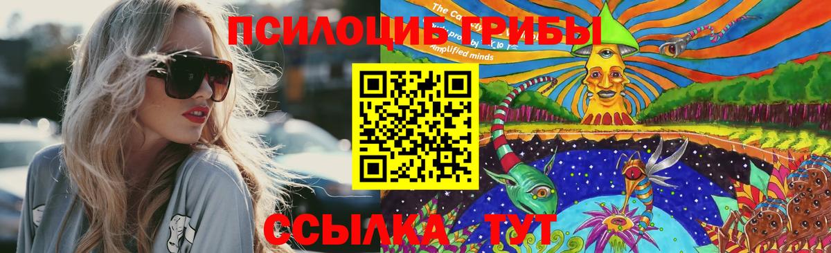 Галлюциногенные грибы Psilocybe Минусинск